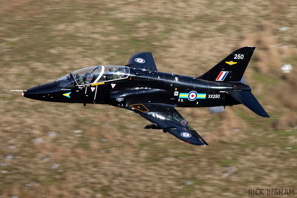 BAe Hawk T1 - XX250 - RAF