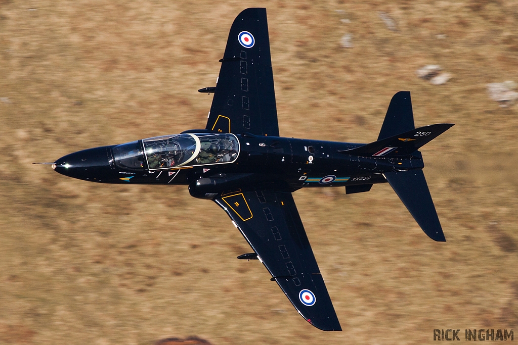 BAe Hawk T1 - XX250 - RAF