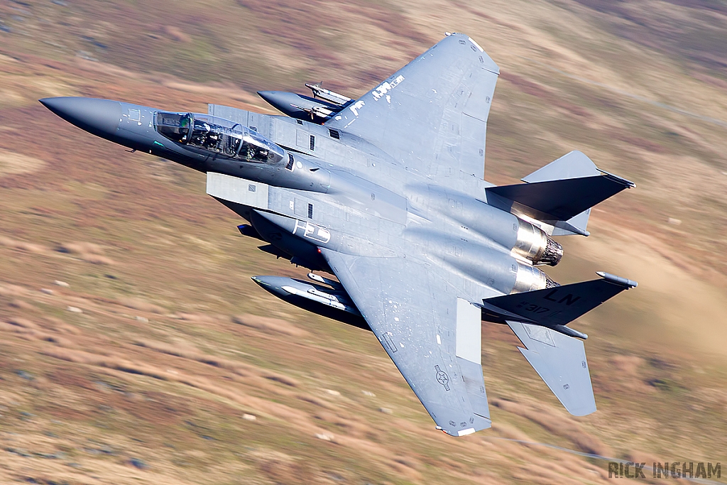 McDonnell Douglas F-15E Strike Eagle - 91-0317 - USAF