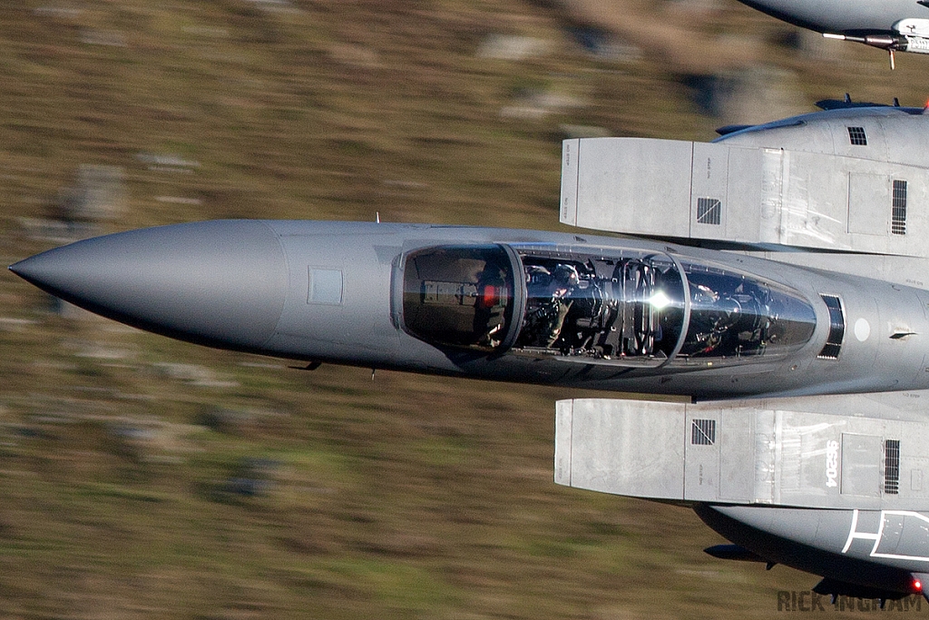 McDonnell Douglas F-15E Strike Eagle - 96-0204 - USAF