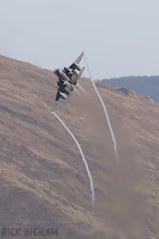 McDonnell Douglas F-15E Strike Eagle - 98-0135 - USAF