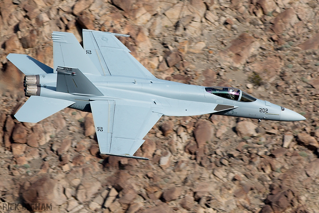 Boeing F/A-18E Super Hornet - 169118 - US Navy