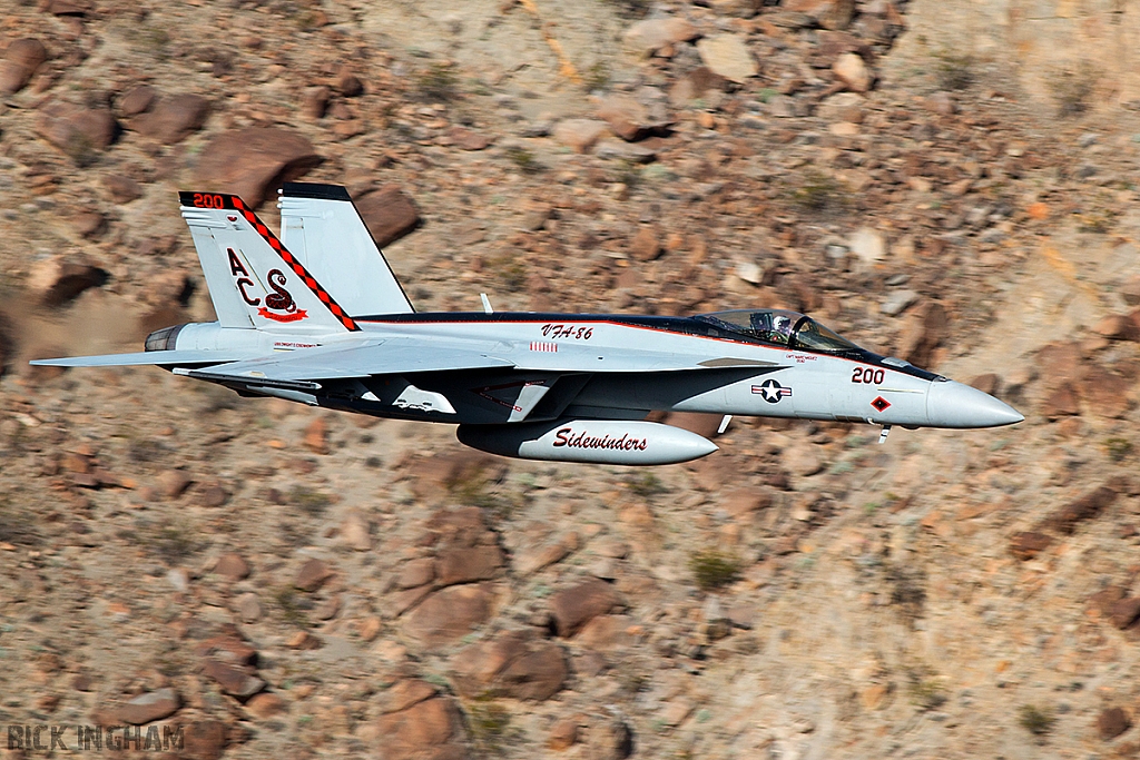 Boeing F/A-18E Super Hornet - 166950 - US Navy