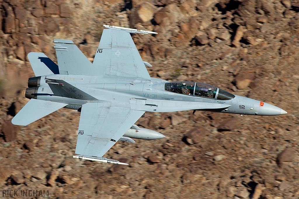 McDonnell Douglas F/A-18D Hornet - 163989 - US Navy