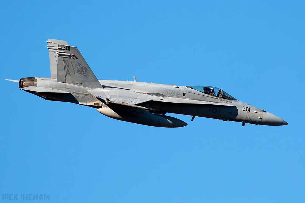 McDonnell Douglas F/A-18C Hornet - 164238 - US Navy