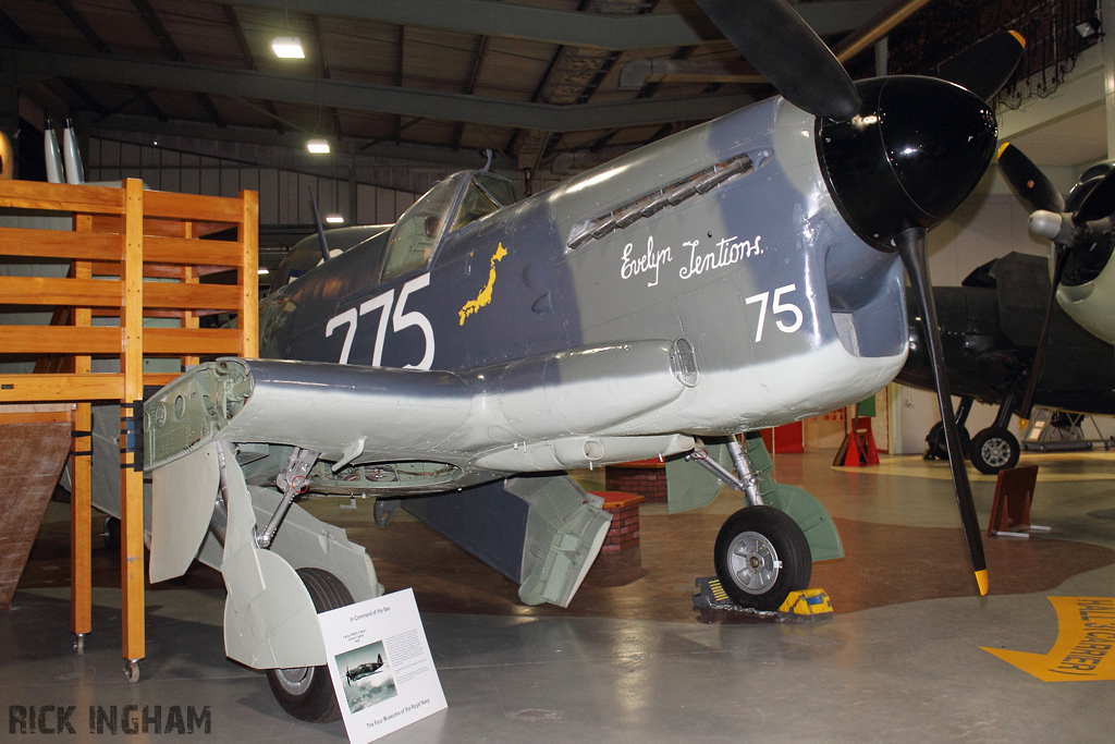 Fairey Firefly TT1 - Z2033/275 - Royal Navy