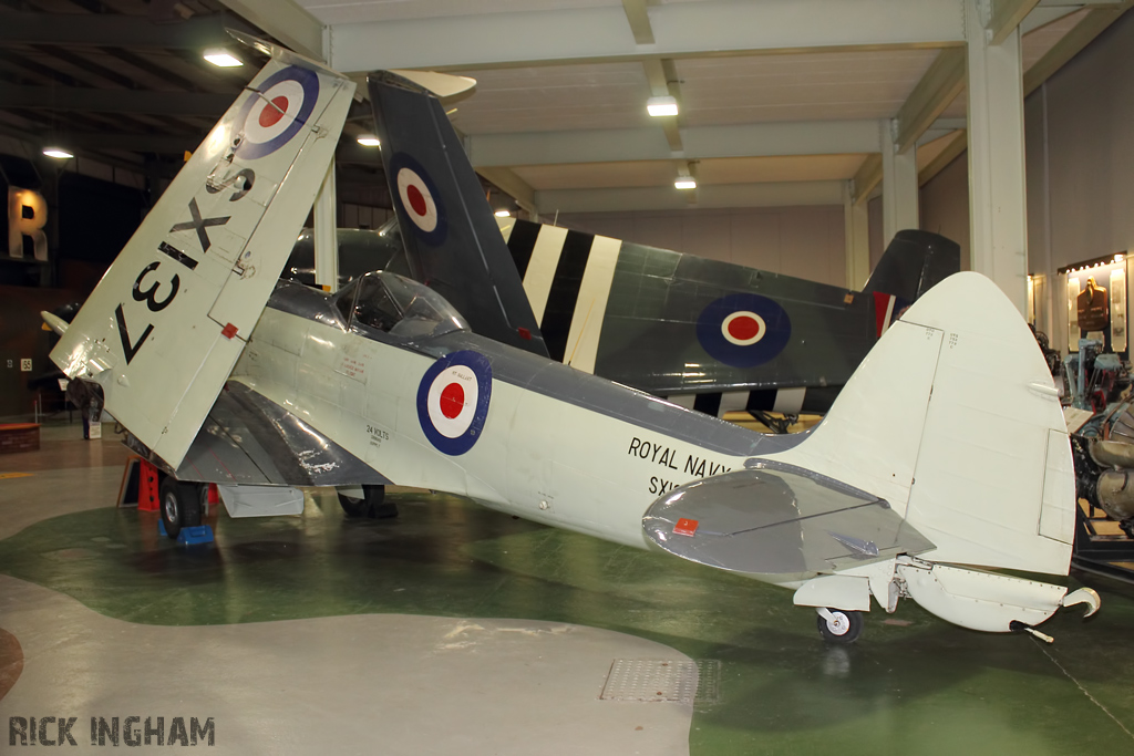 Supermarine Seafire F17 - SX137 - Royal Navy