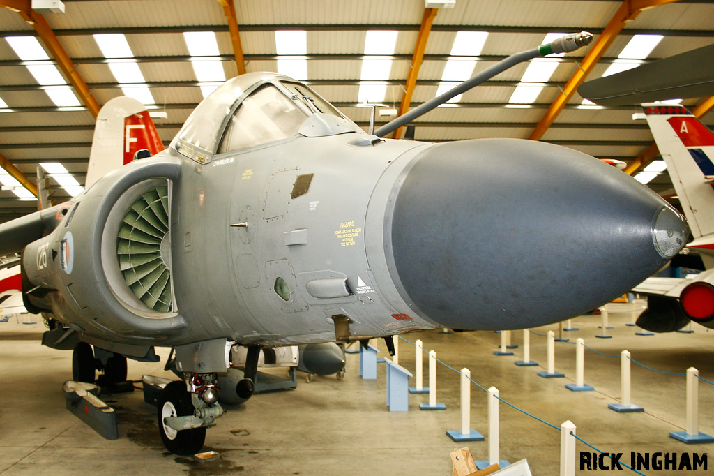 British Aerospace Sea Harrier FA2 - ZA176/126 - Royal Navy