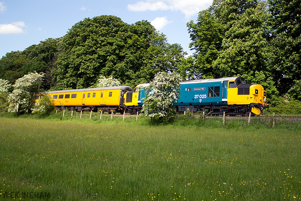 Class 37 - 37025 - Colas Rail