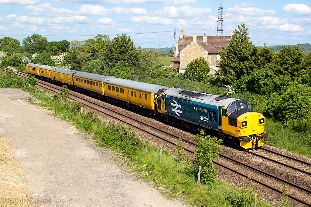 Class 37 - 37025 - Colas Rail