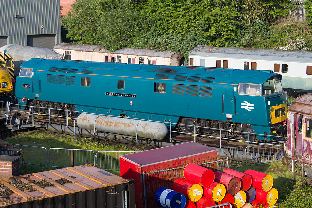 Class 52 Western - D1015