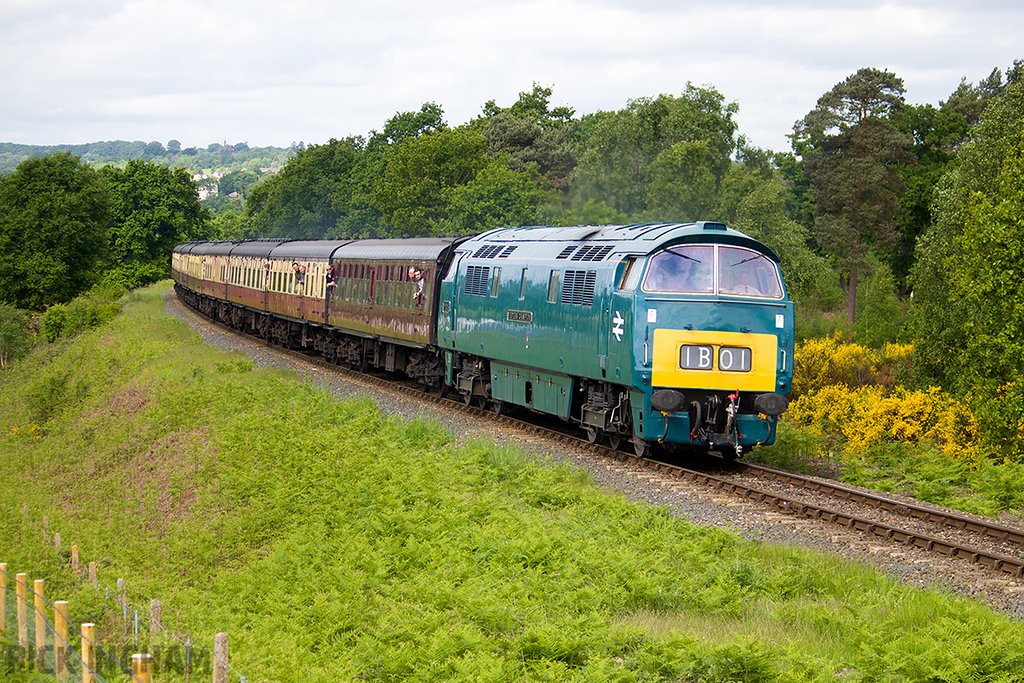 Class 52 Western - D1015 'Western Champion'