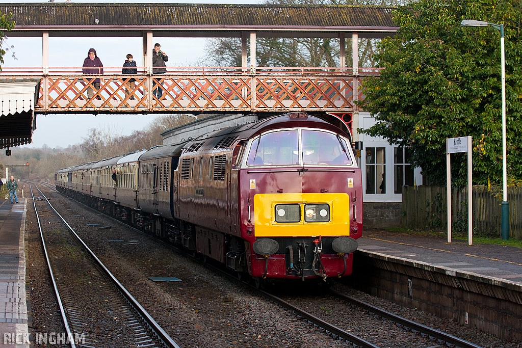 Class 52 Western - D1015