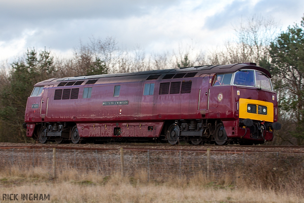 Class 52 Western - D1015