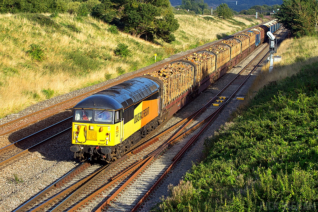 Class 56 - 56087 - Colas Rail