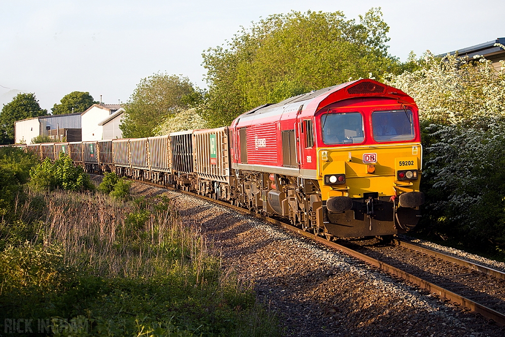 Class 59 - 59202 - DB Schenker