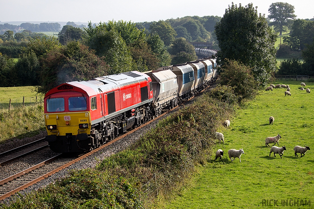 Class 59 - 59203 - DB Schenker