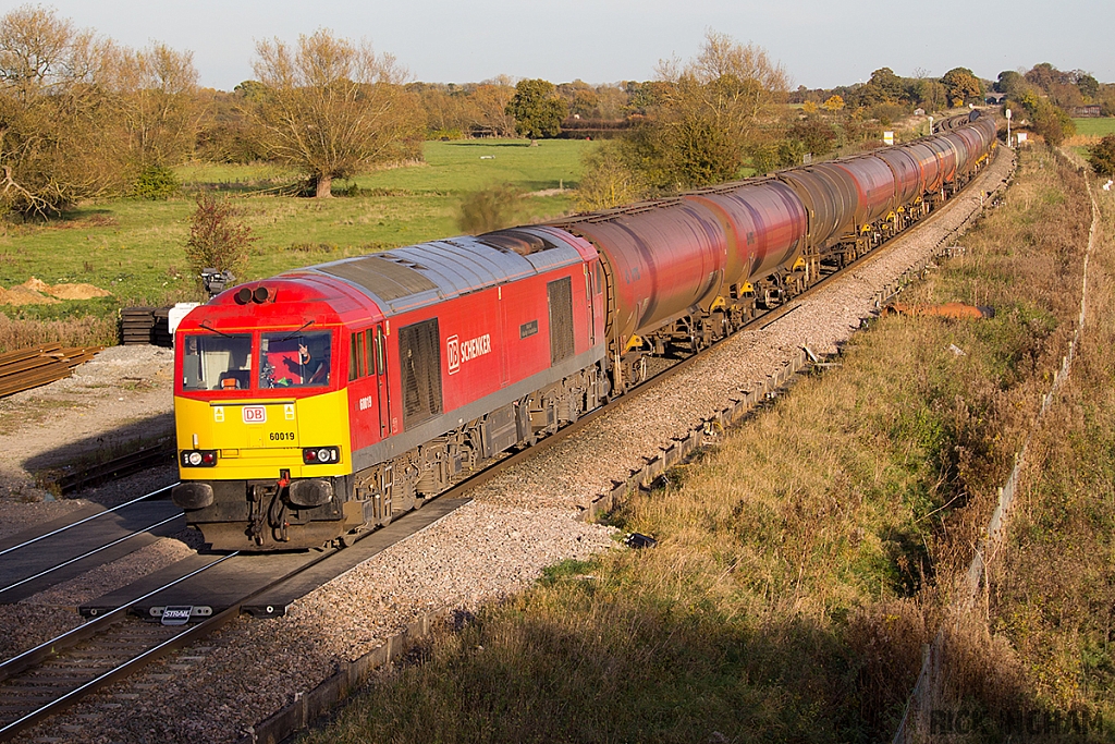 Class 60 - 60019 - DB Schenker