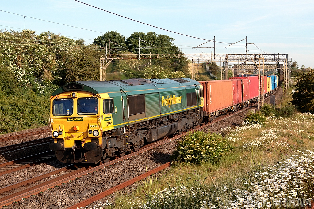 Class 66 - 66561 - Freightliner