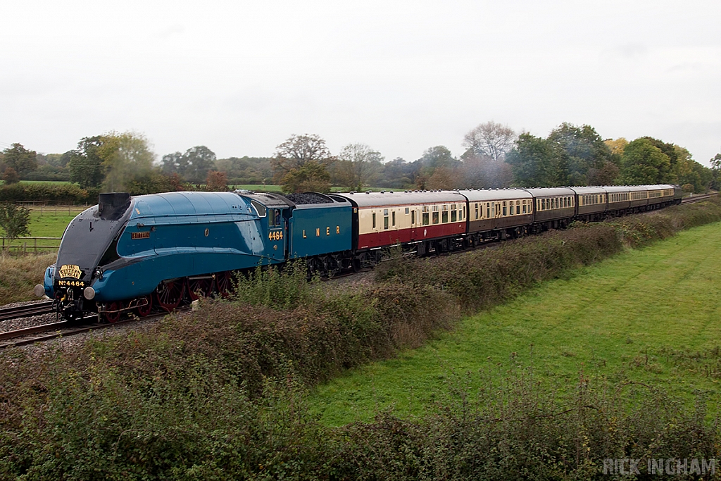 LNER Class A4 - 4464 'Bittern'