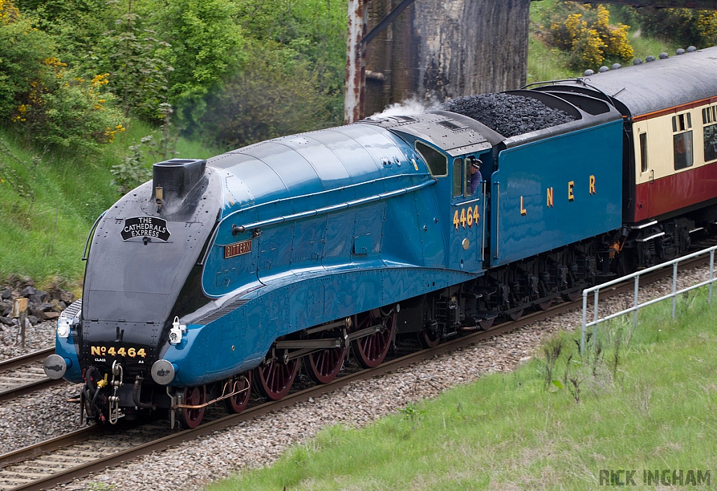 LNER Class A4 - 4464 'Bittern'