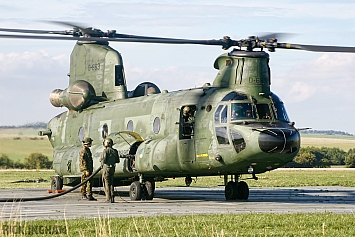 Dutch Chinooks