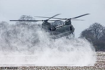 Snow Landings