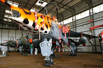 Sepecat Jaguar GR3A - XX119/AI - RAF