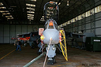 Sepecat Jaguar T4 - XX847/EZ - RAF
