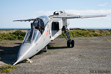 Sepecat Jaguar T4 - XX845 - RAF