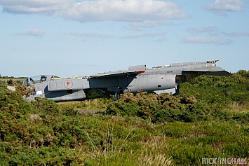 Sepecat Jaguar T4 - XX845 - RAF