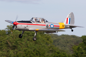 80th Anniversary of the Chipmunk