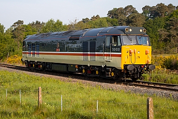 Class 50 - 50031 - Intercity