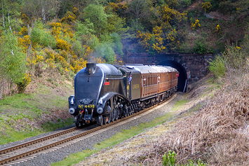 LNER Class A4 - 4498 Sir Nigel Gresley (60007)