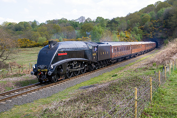 LNER Class A4 - 4498 Sir Nigel Gresley (60007)