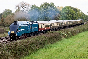 LNER Class A4 - 4464 'Bittern'